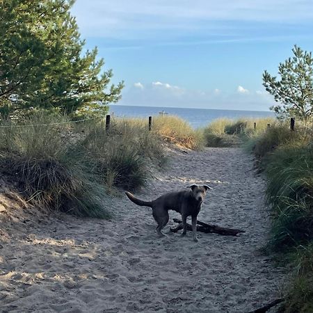 Reet Am Strand Mit Hund Karlshagen エクステリア 写真