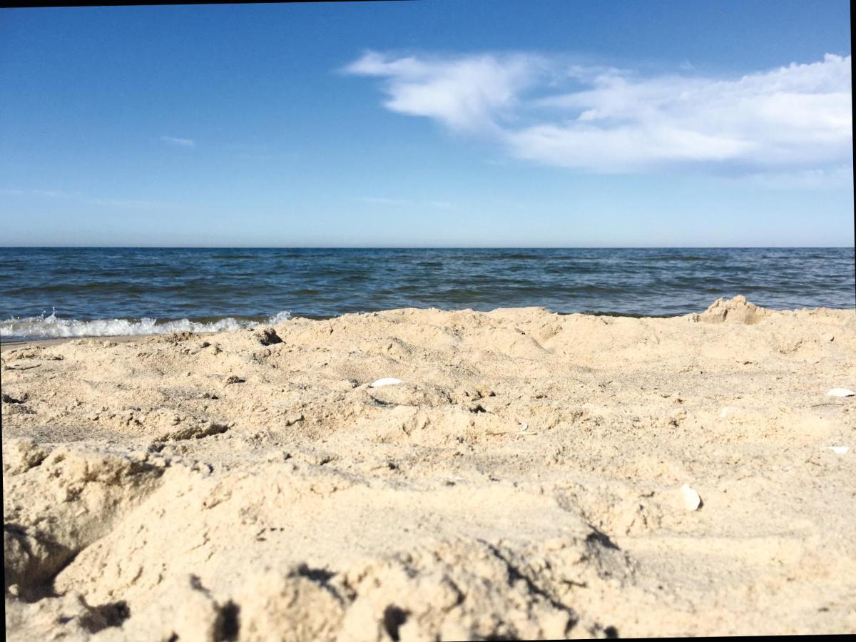 Reet Am Strand Mit Hund Karlshagen エクステリア 写真