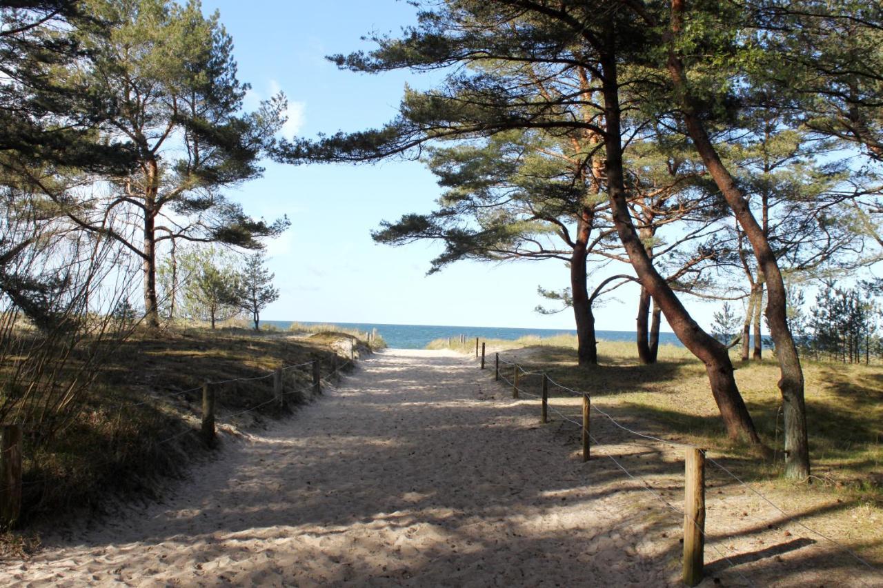 Reet Am Strand Mit Hund Karlshagen エクステリア 写真