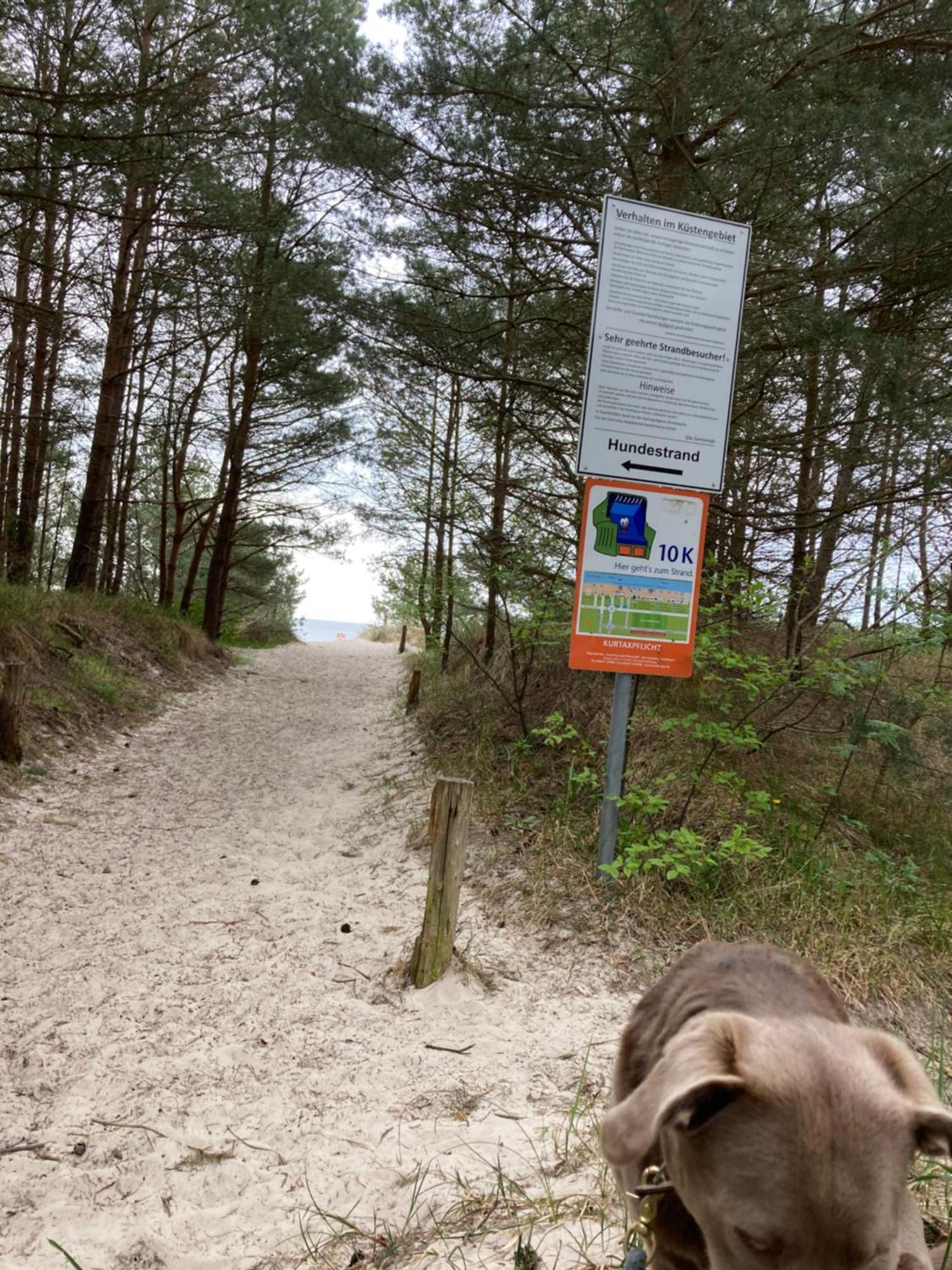 Reet Am Strand Mit Hund Karlshagen エクステリア 写真