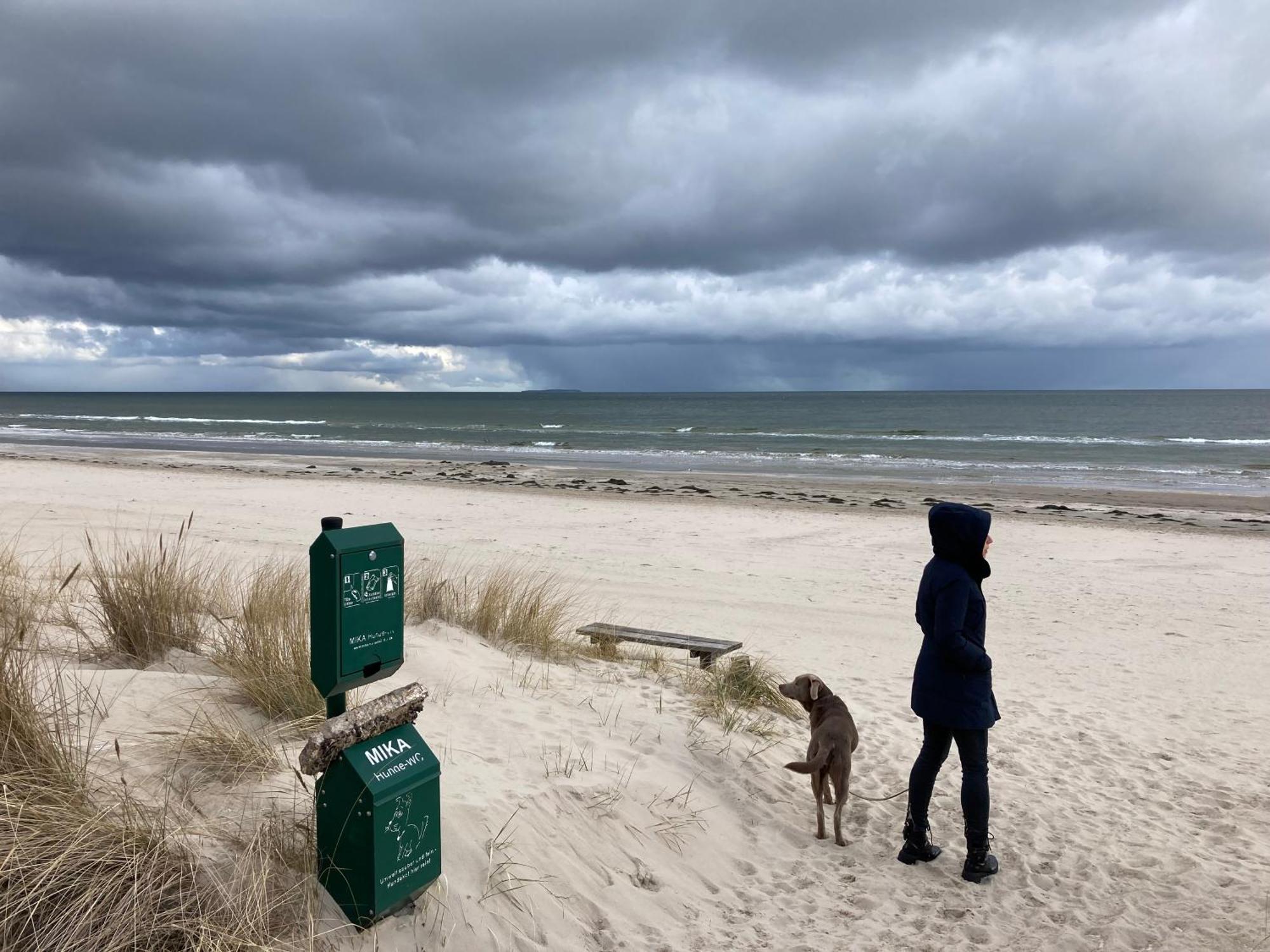 Reet Am Strand Mit Hund Karlshagen エクステリア 写真